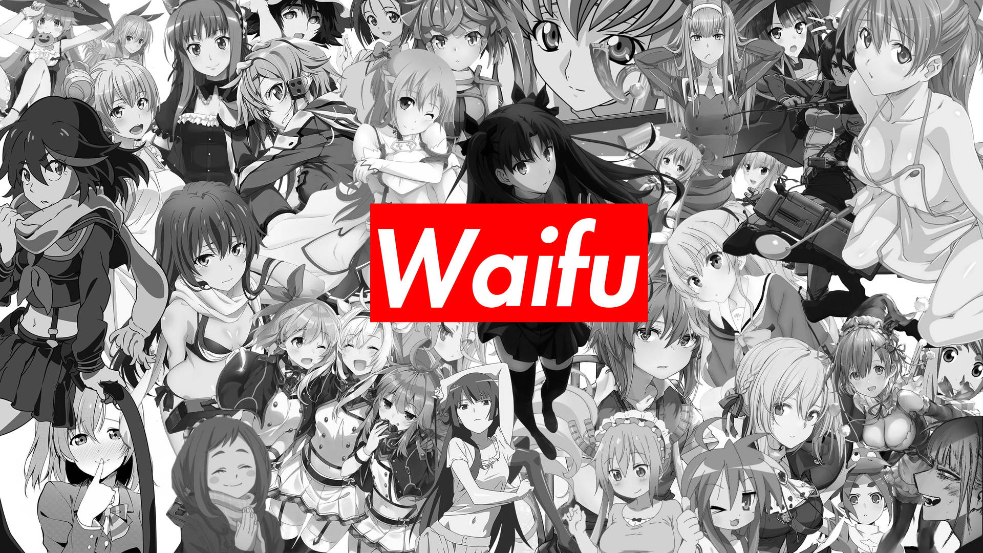Waifu Collection