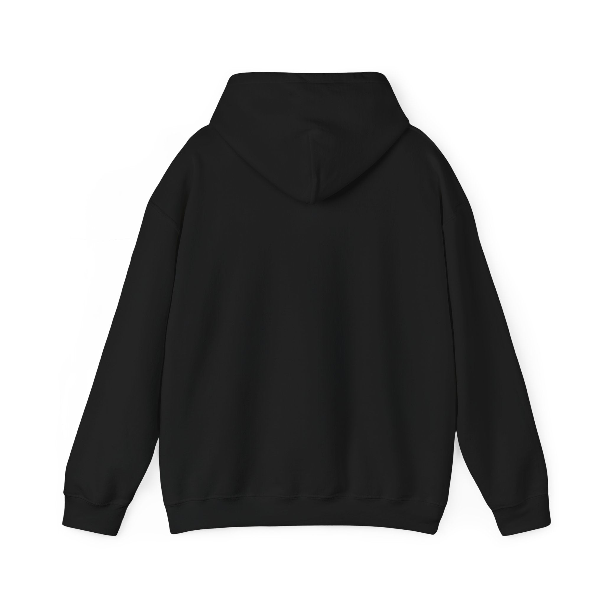 SSB - IzAw Future Link Hoodie