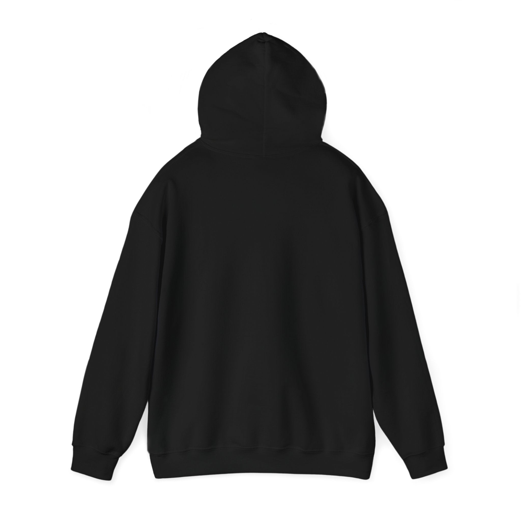 SSB - IzAw Future Link Hoodie