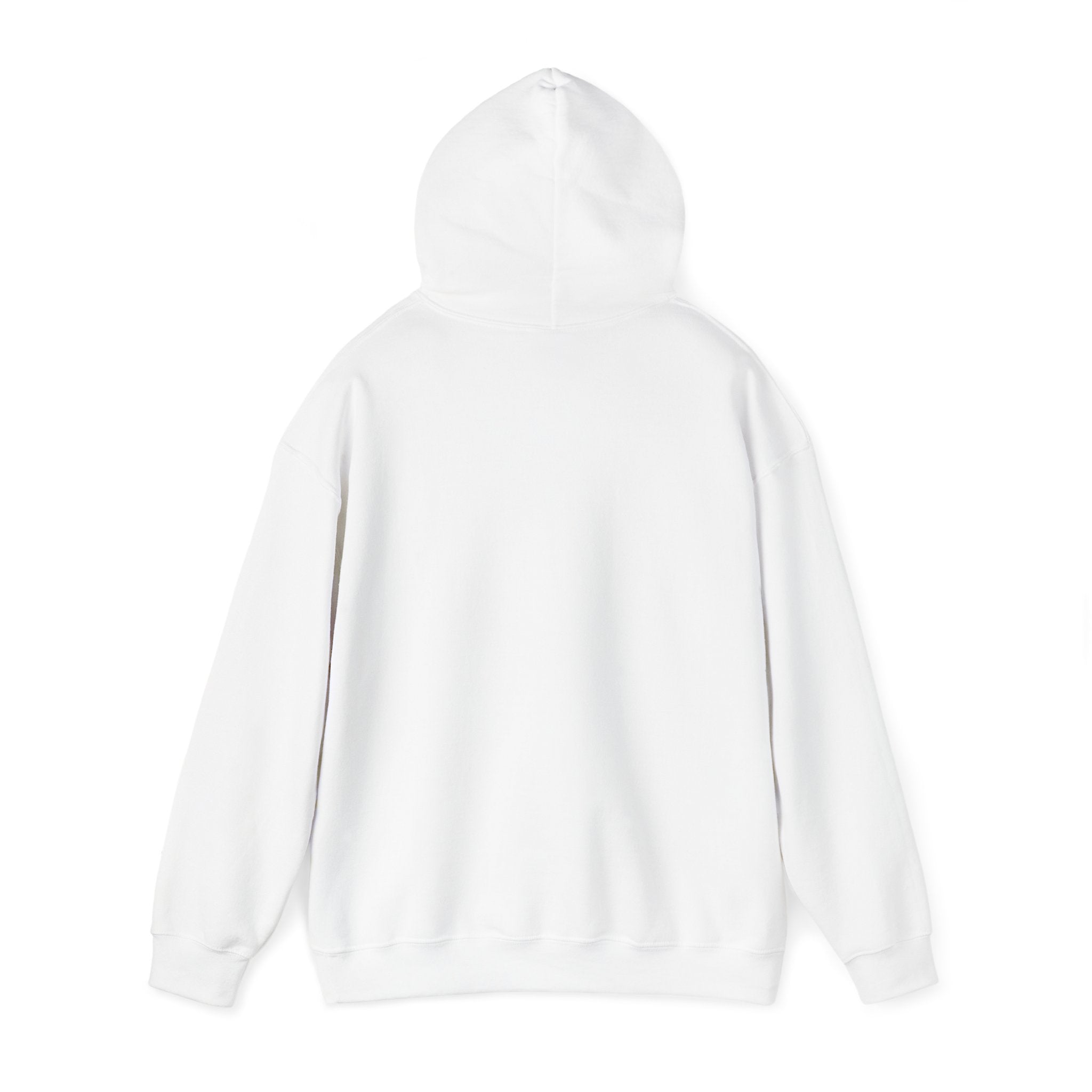 SSB - IzAw Future Link Hoodie